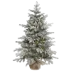🎄