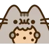🍪
