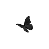 🦋