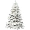 🌲