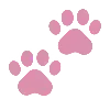 🐾