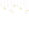 ✨