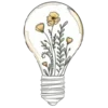 💡