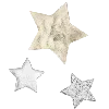 🌟