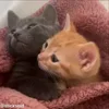 ❤