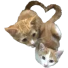 🐈