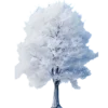 🌳
