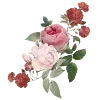 🌷