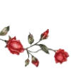🌹