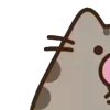 ⭐