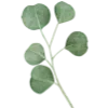 💚