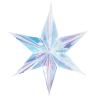 🌟