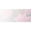 🤩