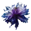 ♾