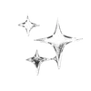 🌟