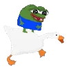 🦆