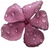 🤩