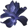 ♾