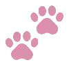 🐾