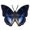 ♾