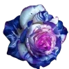 ♾