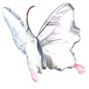 🦋