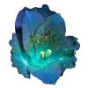 ♾