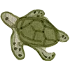 🐢