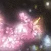 🌟