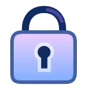 🔒
