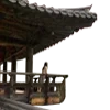 🪷