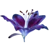 ♾
