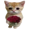 🐈