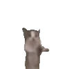 😺