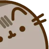 ⭐