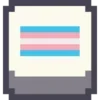 🏳️‍⚧️