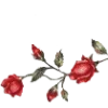 🌹