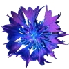 ♾