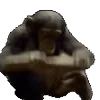 🐒