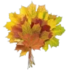 🍂