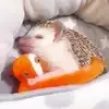 😴