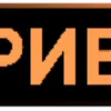 🟠