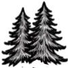 🎄