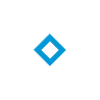 🔹