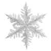 ❄️