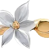 🌼