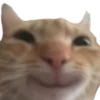 🙂