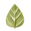 🌱
