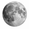 🌑