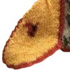 🪶
